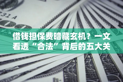 济南借钱担保费暗藏玄机？一文看透“合法”背后的五大关键陷阱