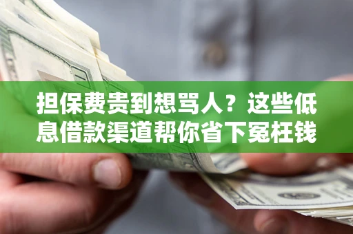 济南担保费贵到想骂人？这些低息借款渠道帮你省下冤枉钱