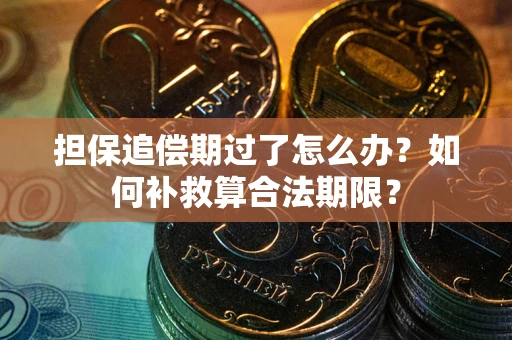 济南担保追偿期过了怎么办？如何补救算合法期限？