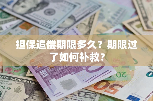 济南担保追偿期限多久？期限过了如何补救？
