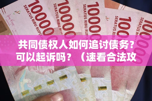 济南共同债权人如何追讨债务？可以起诉吗？（速看合法攻略）