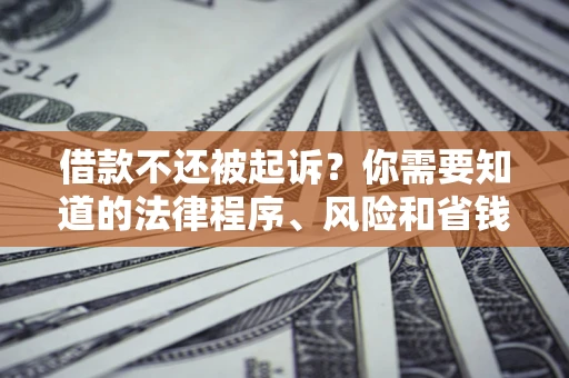 济南借款不还被起诉？你需要知道的法律程序、风险和省钱技巧