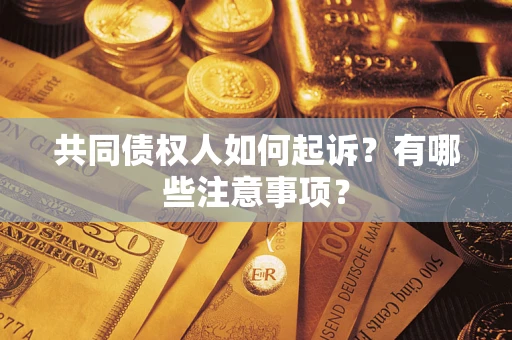 济南共同债权人如何起诉？有哪些注意事项？